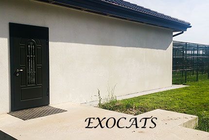 Гостиница для кошек EXOCATS - Саванна, Сервал, Чаузи.