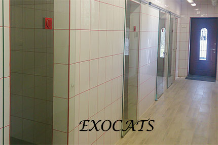 Гостиница для кошек EXOCATS - Саванна, Сервал, Чаузи.